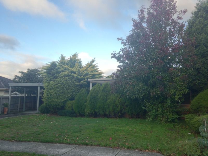 6 Lemair Avenue, Glen Waverley VIC 3150