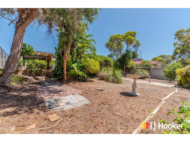 116 St Andrews Drive, Yanchep WA 6035