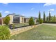 17 Pendleton Crescent, Butler WA 6036