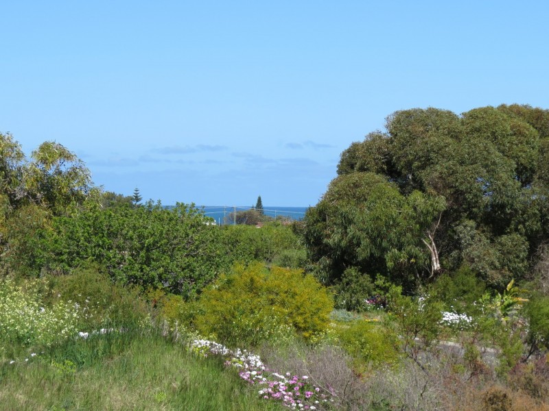 10 Theydon Grove, Two Rocks WA 6037