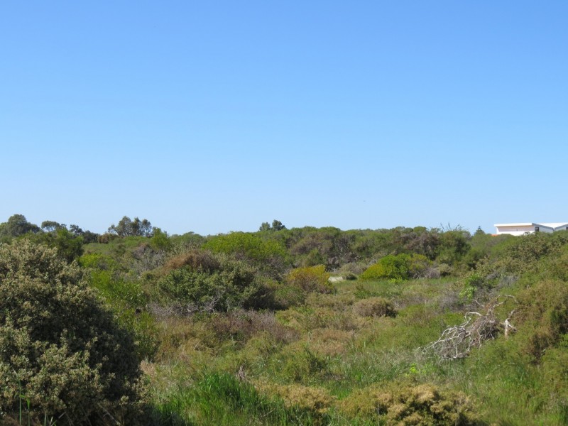 10 Theydon Grove, Two Rocks WA 6037