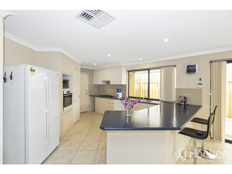 29 Pendleton Crescent, Butler WA 6036