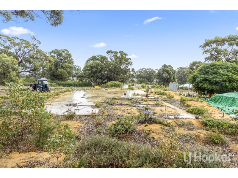 62 Oregano Drive, Two Rocks WA 6037