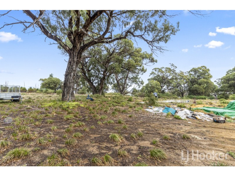 62 Oregano Drive, Two Rocks WA 6037