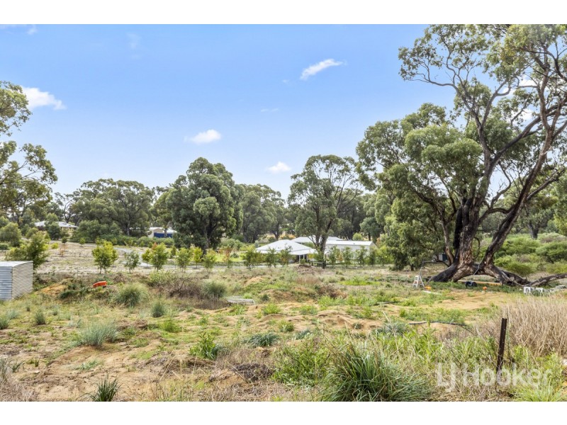 62 Oregano Drive, Two Rocks WA 6037