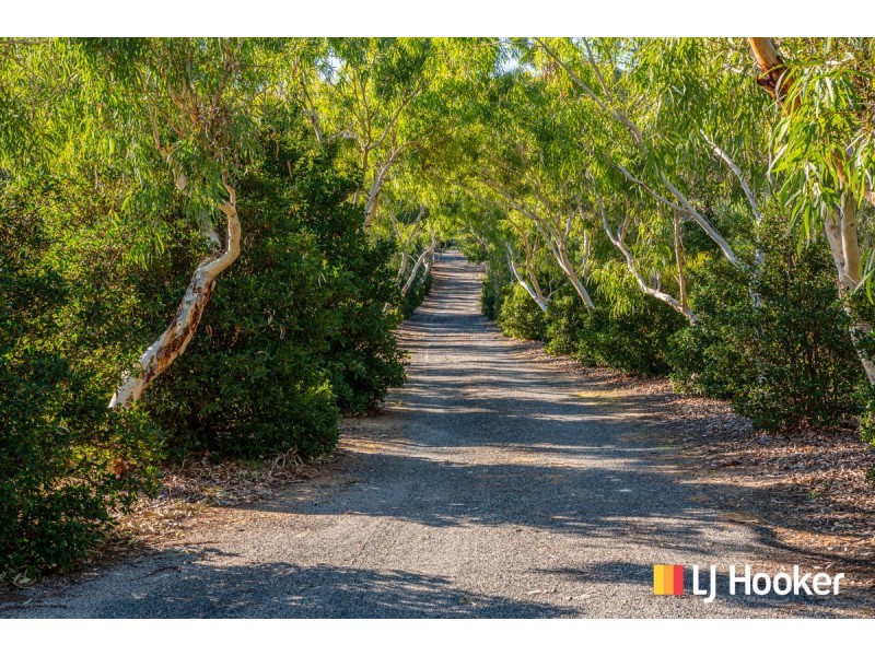 21 Citrus Court, Two Rocks WA 6037