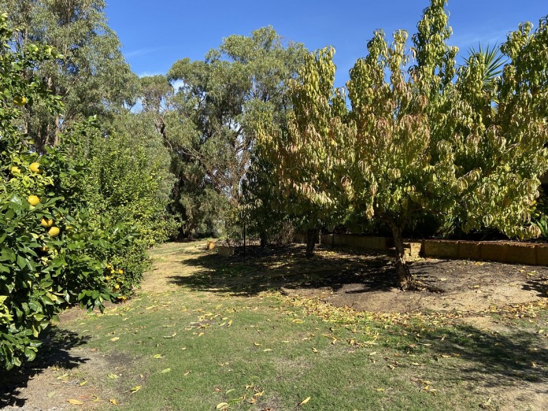 167 Harvest Circle, Two Rocks WA 6037