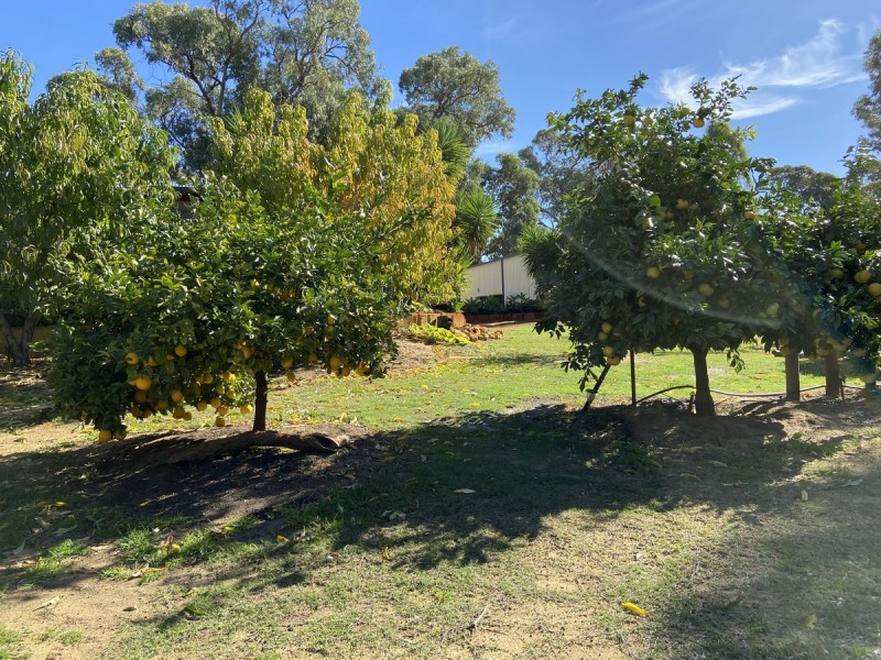 167 Harvest Circle, Two Rocks WA 6037