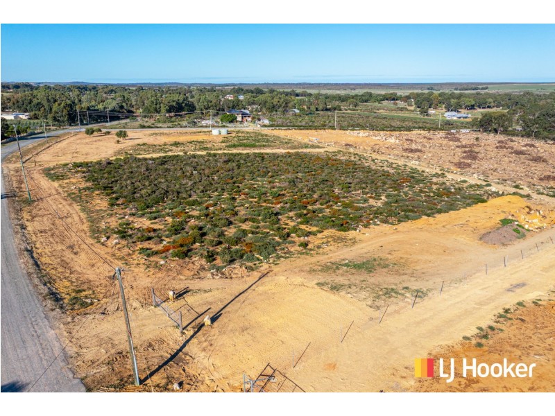 20 Tamarisk Drive, Gabbadah WA 6041