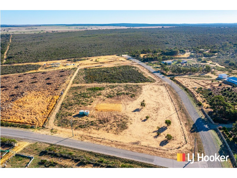 20 Tamarisk Drive, Gabbadah WA 6041