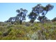 Lot 59/ Marjoram Vista, Two Rocks WA 6037