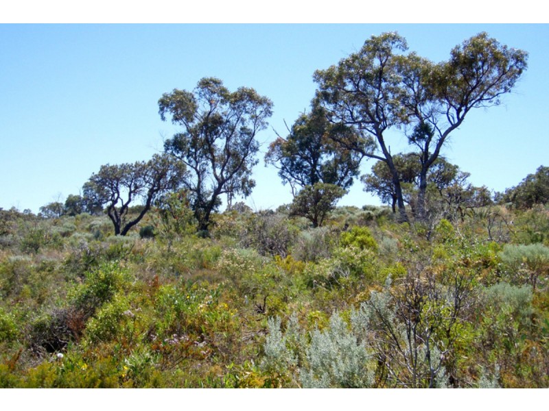 Lot 59/ Marjoram Vista, Two Rocks WA 6037
