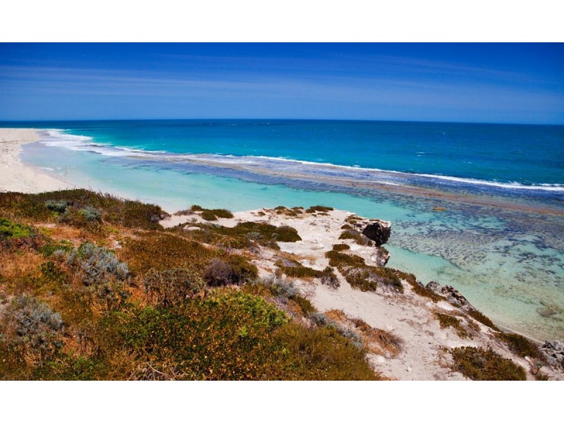 41 Wilkie Avenue, Yanchep WA 6035