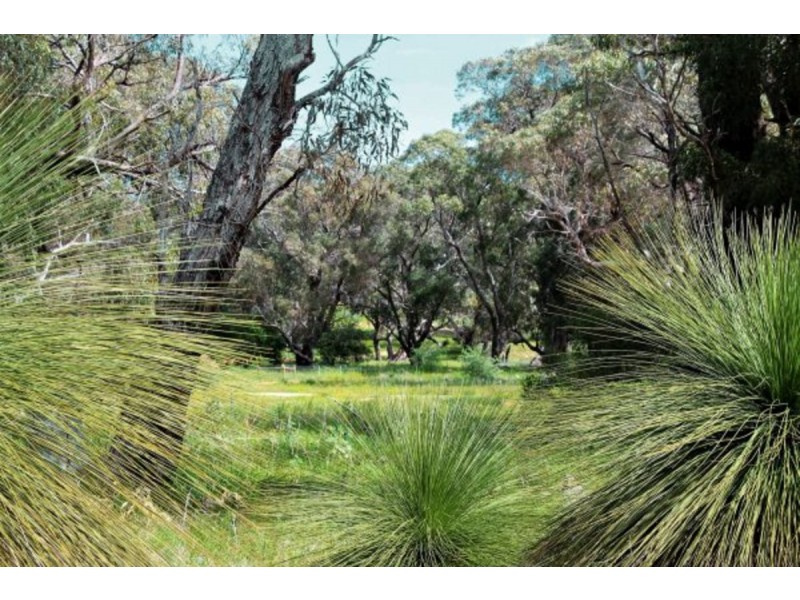 Lot 58/ Cinnamon Meander, Two Rocks WA 6037