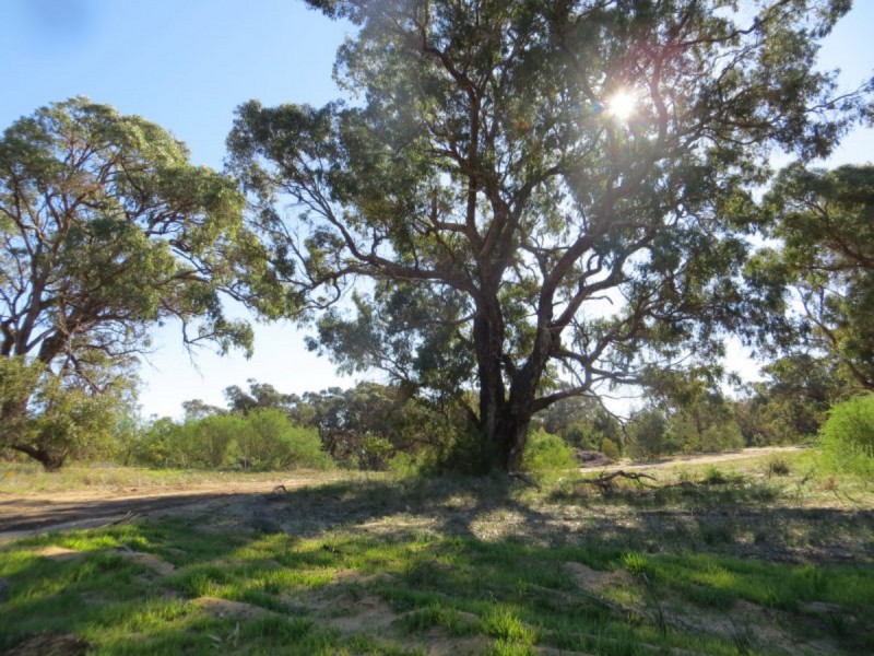 Lot 58/ Cinnamon Meander, Two Rocks WA 6037