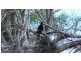 Lot 58/ Cinnamon Meander, Two Rocks WA 6037