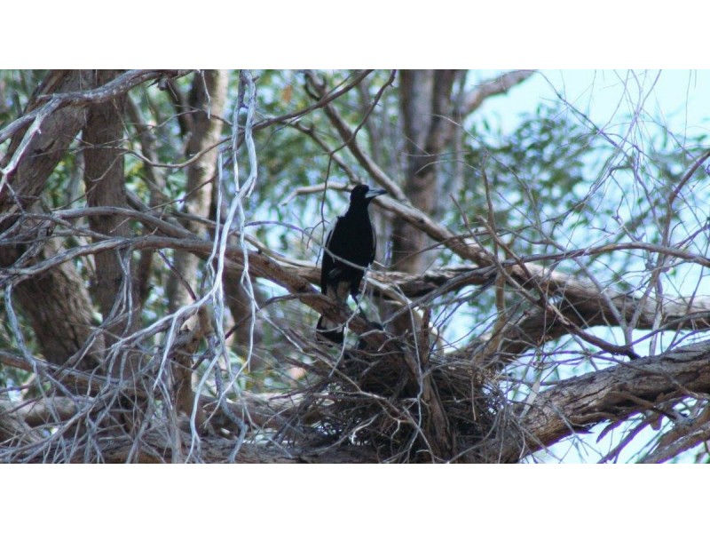 Lot 58/ Cinnamon Meander, Two Rocks WA 6037