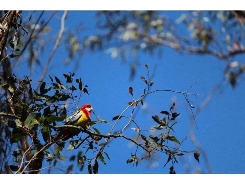 20 Sovereign Hill Drive, Gabbadah WA 6041