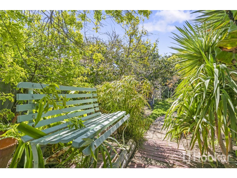 10 Dreyer Court, Yanchep WA 6035