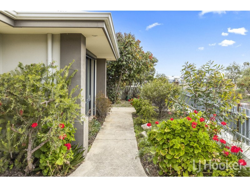 7 Camber Link, Alkimos WA 6038