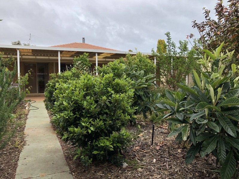 9 Caley Place, Two Rocks WA 6037