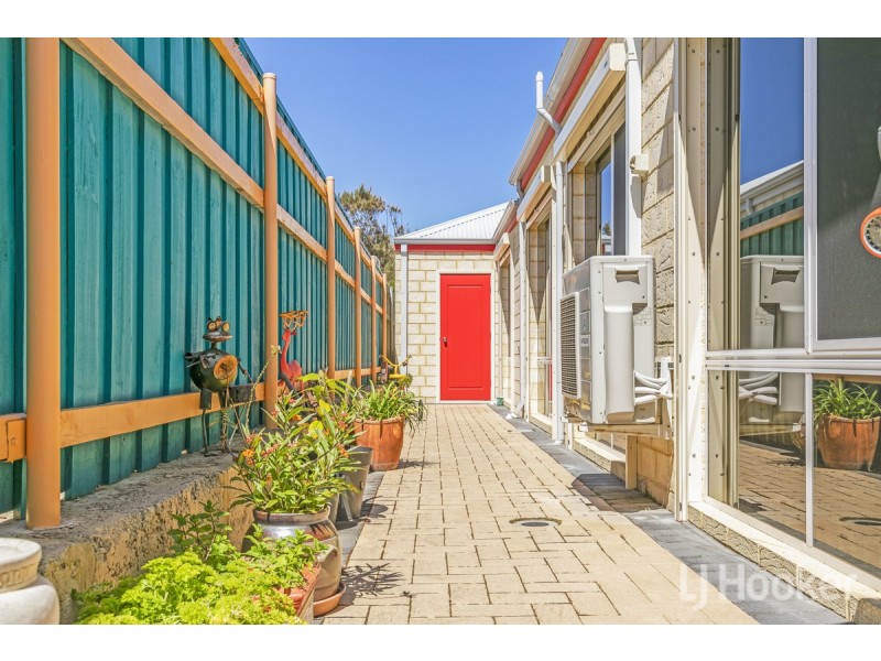 19 Zamia Rise, Yanchep WA 6035