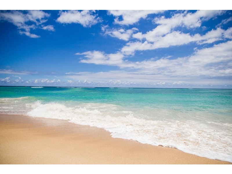 9 Cobbler Way, Two Rocks WA 6037