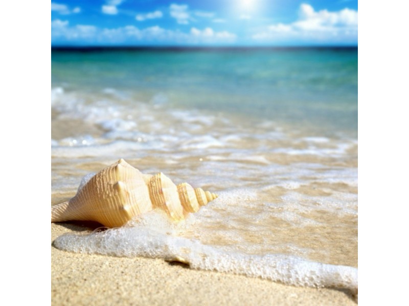 9 Cobbler Way, Two Rocks WA 6037