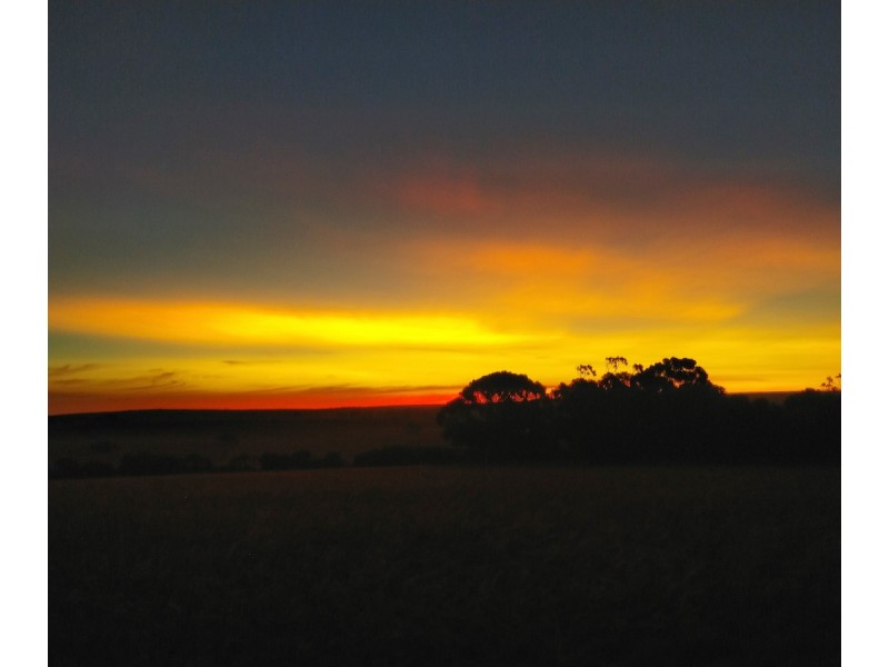 Lot 171/ Bluegum Crescent, Gabbadah WA 6041