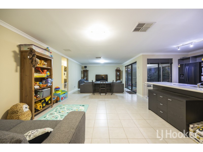 36 Tobermory Crescent, Butler WA 6036