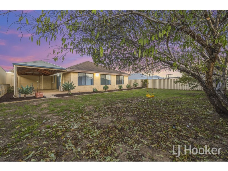 23 Bradman Drive, Butler WA 6036