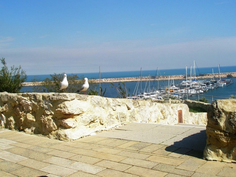 8 Seabass Chase, Two Rocks WA 6037
