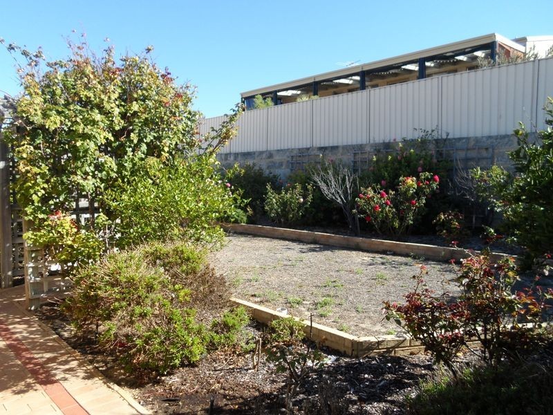 11 Harlequin Way, Yanchep WA 6035