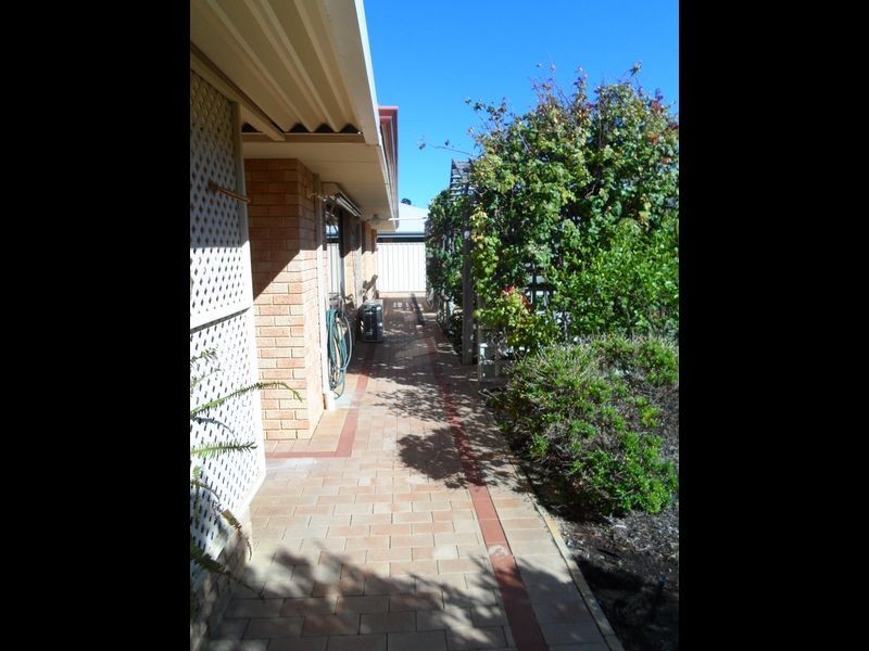 11 Harlequin Way, Yanchep WA 6035