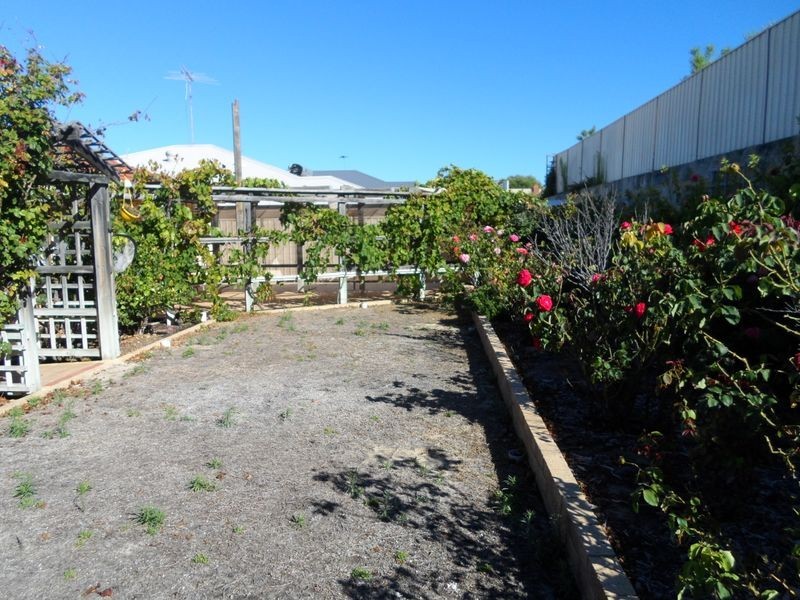 11 Harlequin Way, Yanchep WA 6035
