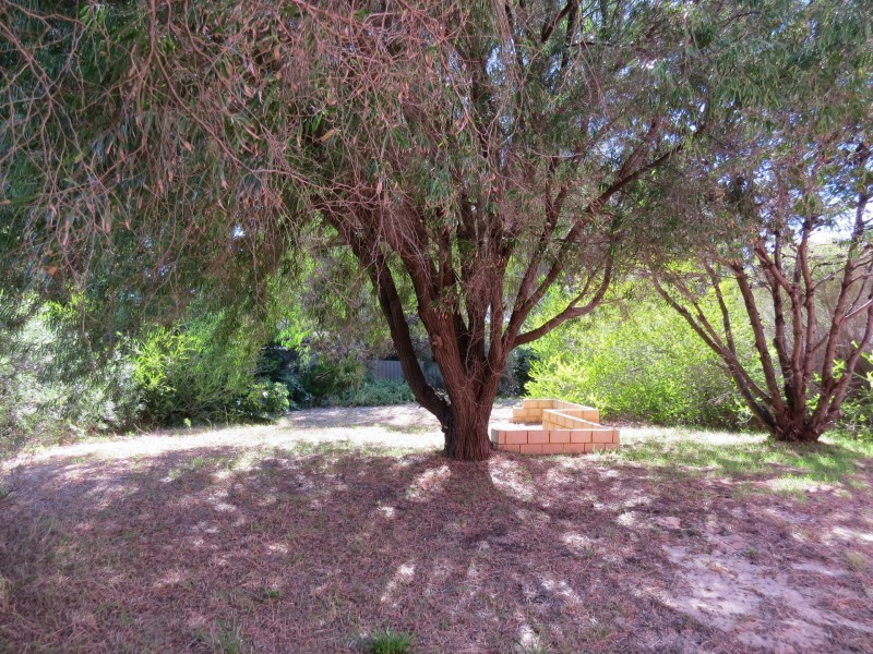 9 Springhill Place, Two Rocks WA 6037