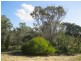 70 Bushwood Follow, Two Rocks WA 6037