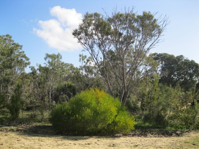 70 Bushwood Follow, Two Rocks WA 6037