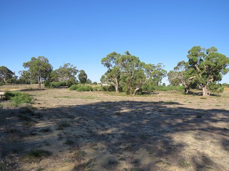 12 Thyme Place, Two Rocks WA 6037