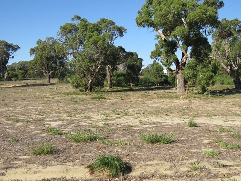 12 Thyme Place, Two Rocks WA 6037