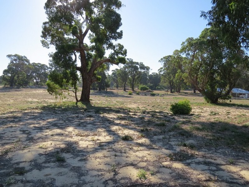 12 Thyme Place, Two Rocks WA 6037