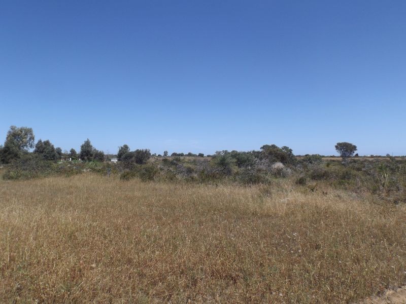 Lot 59 Tamarisk Drive, Wilbinga WA 6041