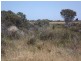 Lot 59 Tamarisk Drive, Wilbinga WA 6041
