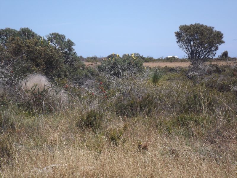 Lot 59 Tamarisk Drive, Wilbinga WA 6041