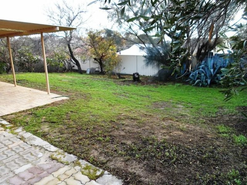 55 St Ives Drive, Yanchep WA 6035