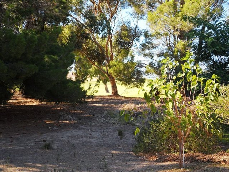 7 Carnoustie Court, Yanchep WA 6035