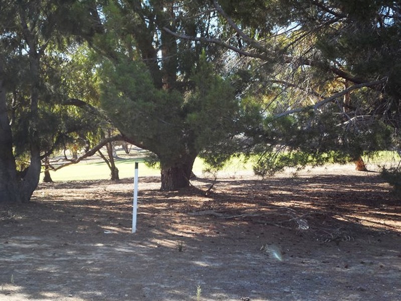 7 Carnoustie Court, Yanchep WA 6035