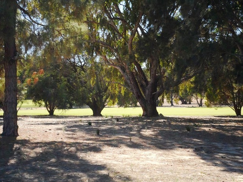 7 Carnoustie Court, Yanchep WA 6035