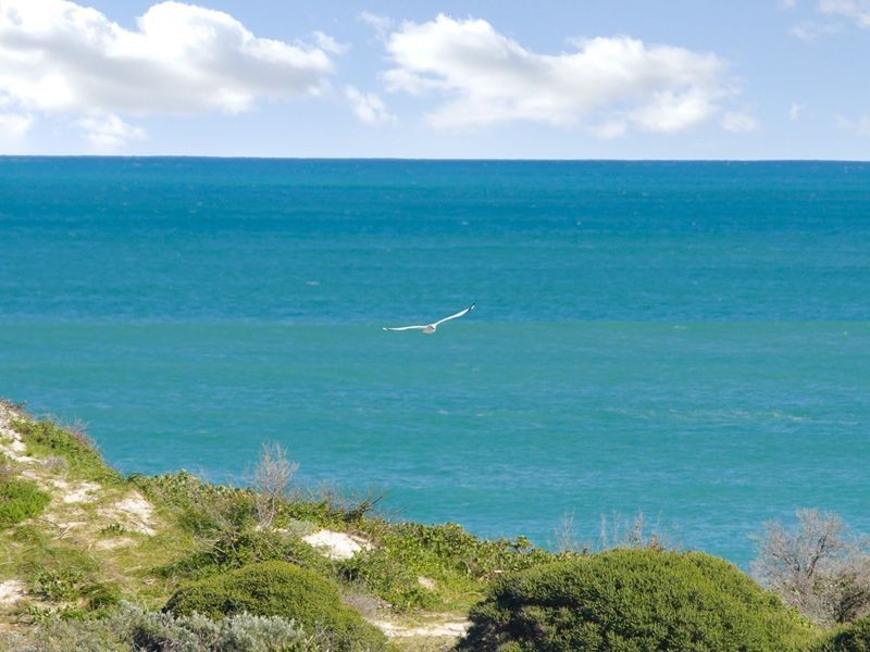 96 Damepattie Drive, Two Rocks WA 6037