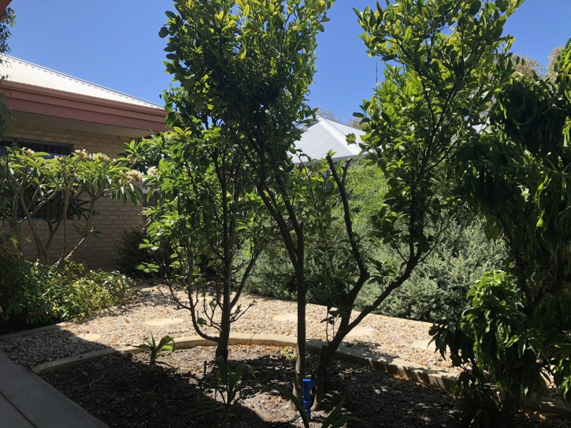 129 Beachside Parade, Yanchep WA 6035